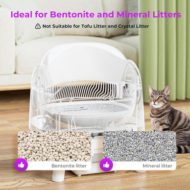 Transform Your Home into a Cat-Friendly Oasis