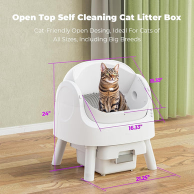 Transform Your Home into a Cat-Friendly Oasis